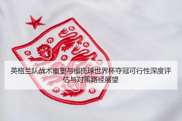 ying-ge-lan-dui-zhan-shu-zhong-su-yu-gan-lan-qiu-shi-jie-bei-duo-guan-ke-xing-xing-shen-du-ping-gu-yu-dui-ce-lu-jing-2-993.jpg